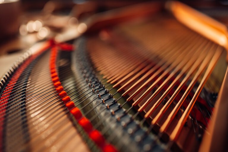 inside grand piano, strings closeup, nobody